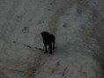 /album/galeria-de-fotos-blogue/vacaciones-invierno-2013-073-jpg/